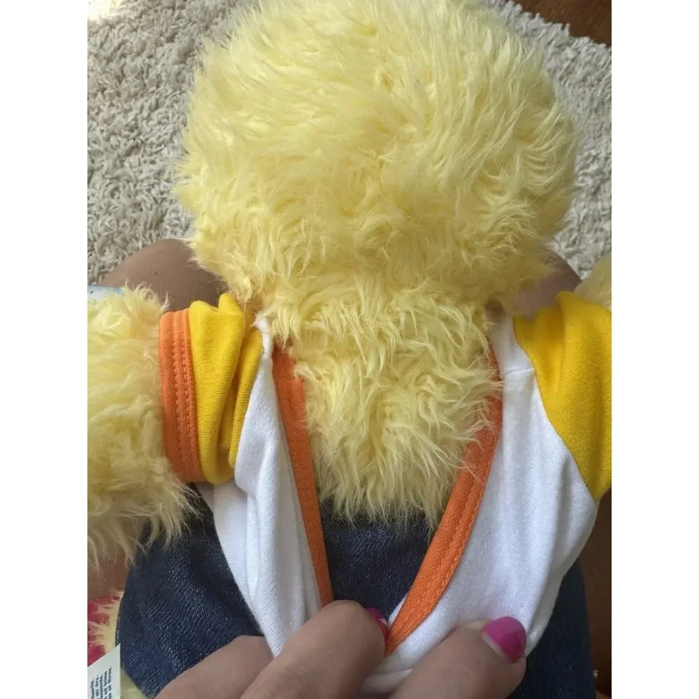 Build A bear 2004 Spring Chicky Plush NWT Including Outfit Easter